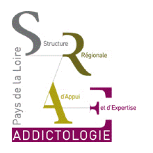 Addictions : programme des formations proposées par la SRAE Addictologie